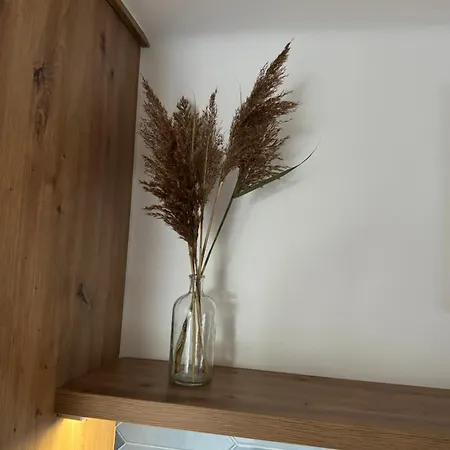 Vinorell Apartament *